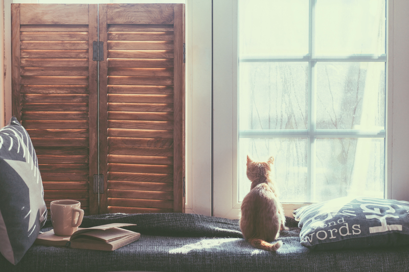 Turn Cardboard Clutter into Opportunity: Disposal Tips You Need